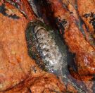 12.jpeg - 2018:08:22 06:11:35