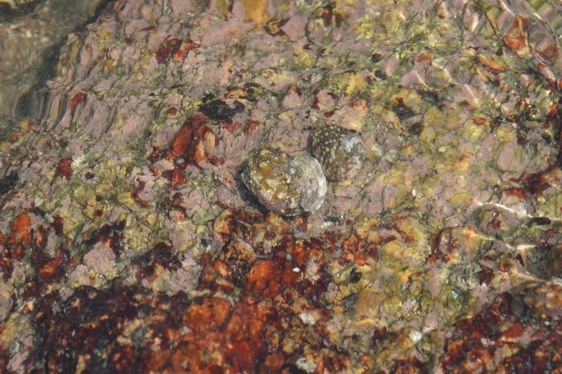 Viewing photos→2018→2018-08-22→14