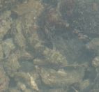 16.jpeg - 2018:08:22 06:22:20