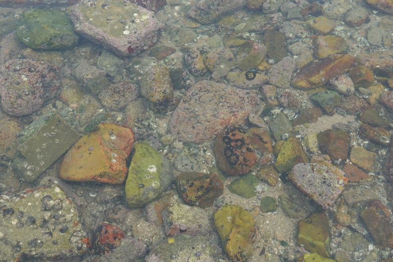 Viewing photos→2018→2018-08-22→19