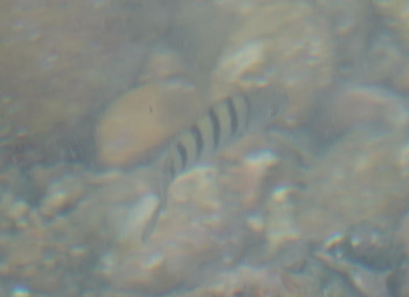 Viewing photos→2018→2018-08-22→21