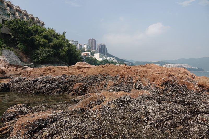 Viewing photos→2018→2018-08-22→22