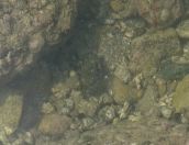 23.jpeg - 2018:08:22 06:37:42