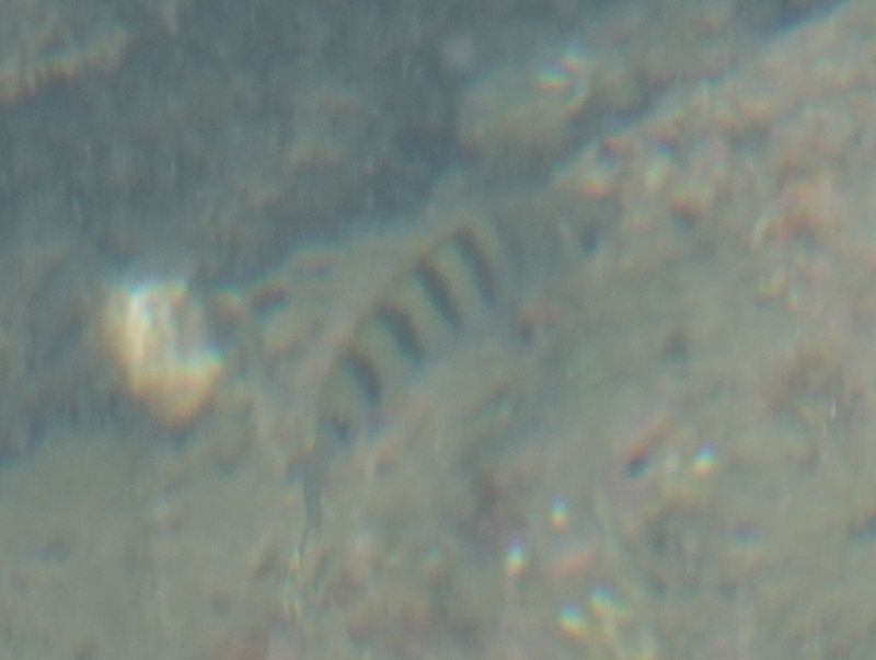 Viewing photos→2018→2018-08-22→25