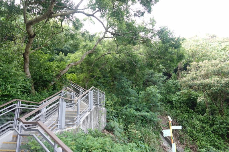 Viewing photos→2018→2018-08-22→48