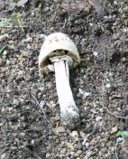 52.jpeg - 2018:08:22 08:41:26