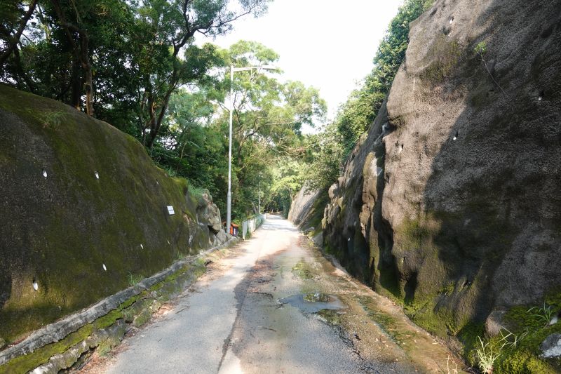 Viewing photos→2018→2018-08-22→53