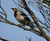 57.jpeg - 2018:08:22 08:58:44