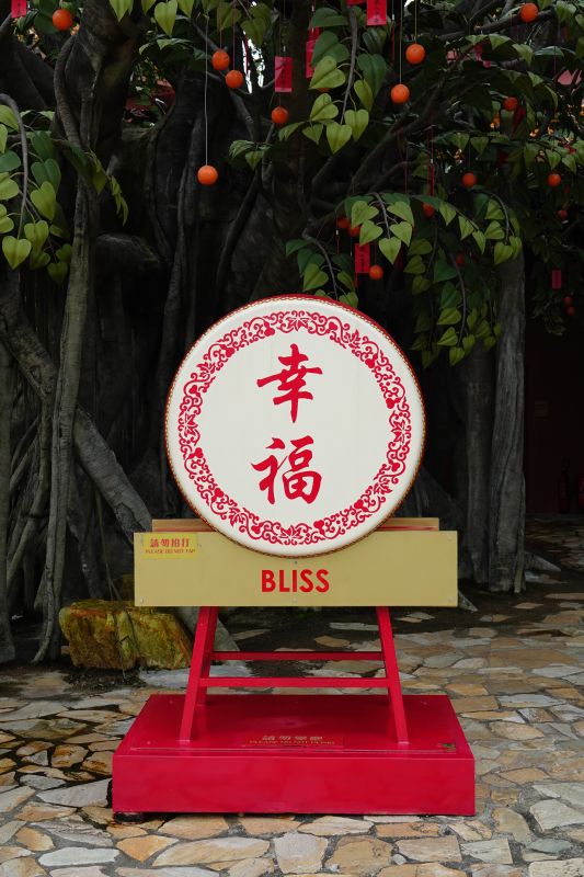 Viewing photos→2018→2018-08-23→20