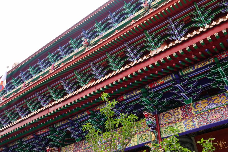 Viewing photos→2018→2018-08-23→40