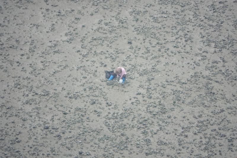 Viewing photos→2018→2018-08-23→50