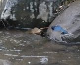 31.jpeg - 2018:08:31 02:56:30