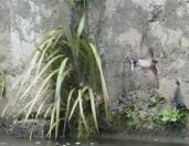 43.jpeg - 2018:08:31 03:17:46