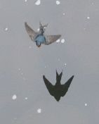 45.jpeg - 2018:08:31 03:23:06