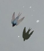 46.jpeg - 2018:08:31 03:23:35