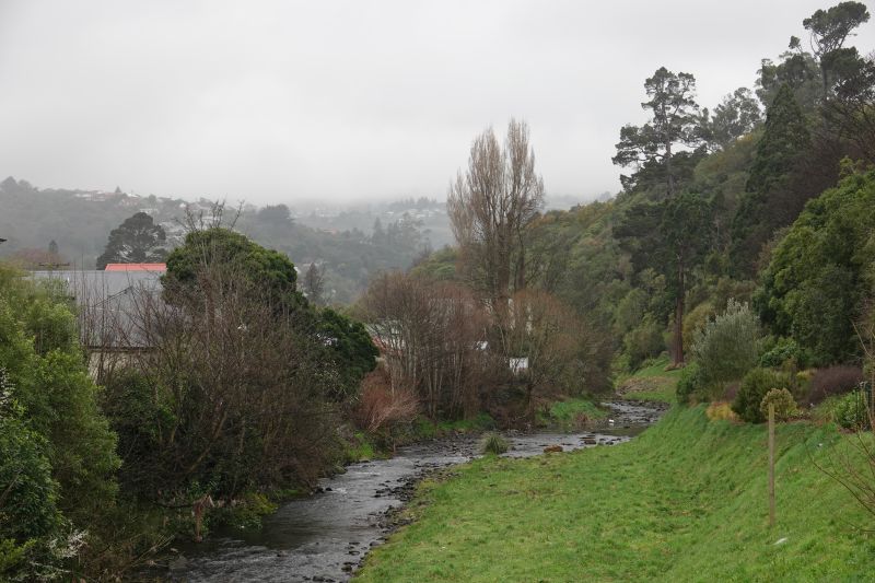 Viewing photos→2018→2018-08-24-2→47