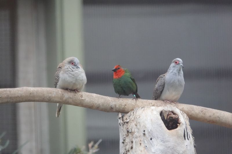 Viewing photos→2018→2018-08-24-2→56