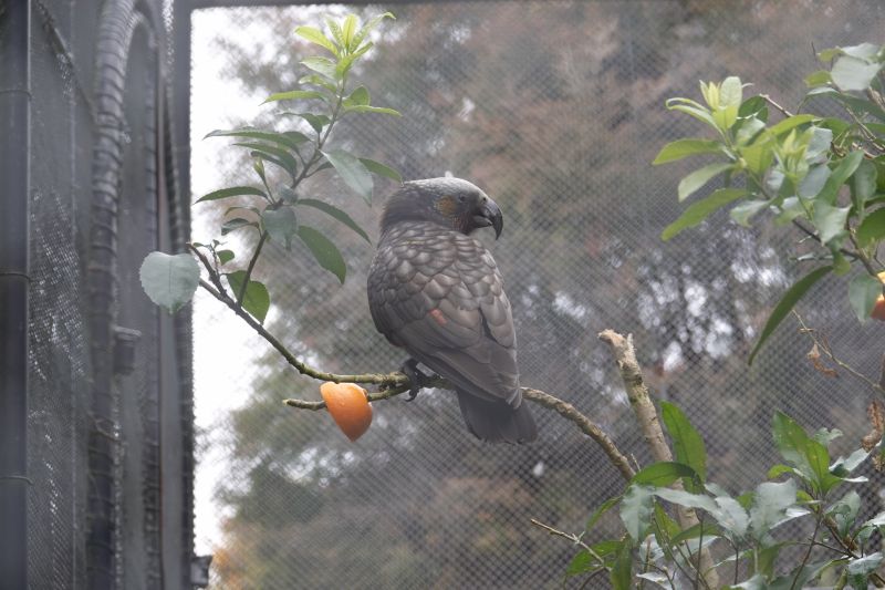 Viewing photos→2018→2018-08-24-2→58