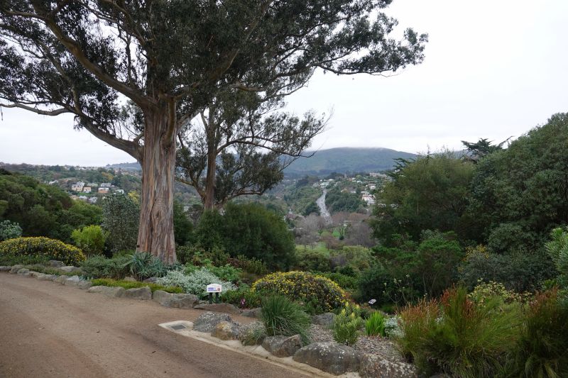 Viewing photos→2018→2018-08-24-2→62