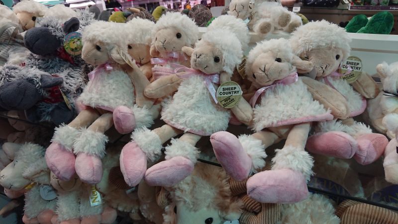 Viewing photos→2018→2018-08-24-2→91