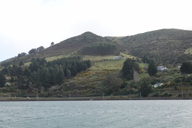 Viewing photos→2018→2018-08-25→08