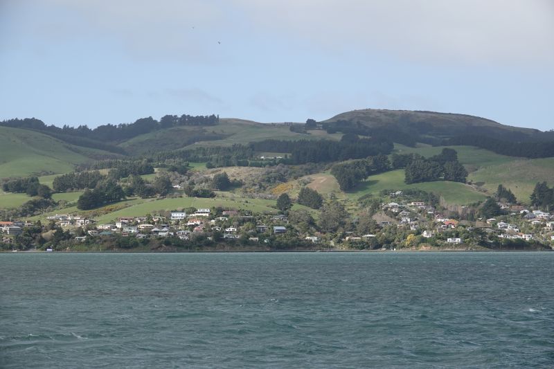 Viewing photos→2018→2018-08-25→09