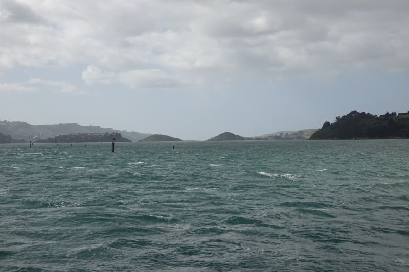 Viewing photos→2018→2018-08-25→10