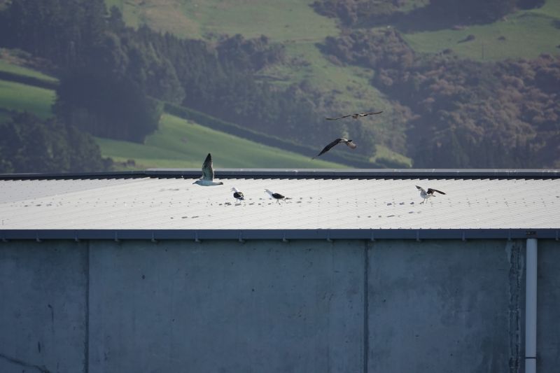 Viewing photos→2018→2018-08-25→22