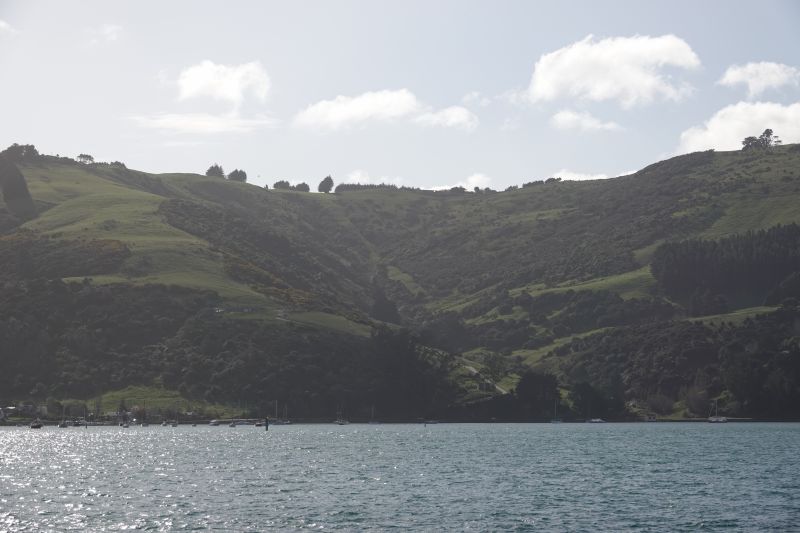 Viewing photos→2018→2018-08-25→25