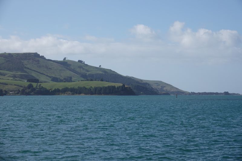 Viewing photos→2018→2018-08-25→26