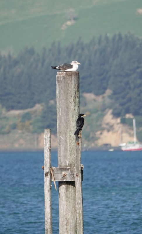 Viewing photos→2018→2018-08-25→28