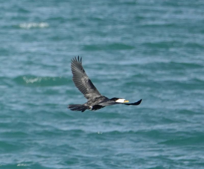 Viewing photos→2018→2018-08-25→31