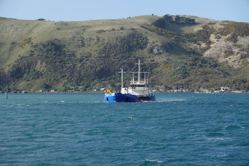 Viewing photos→2018→2018-08-25→37