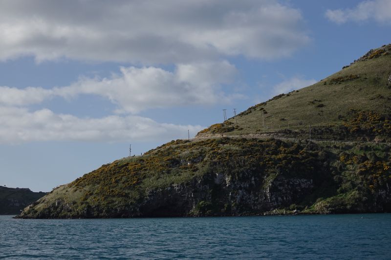 Viewing photos→2018→2018-08-25→41