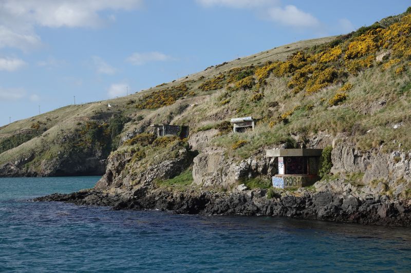 Viewing photos→2018→2018-08-25→43