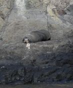 46.jpeg - 2018:08:25 02:33:50