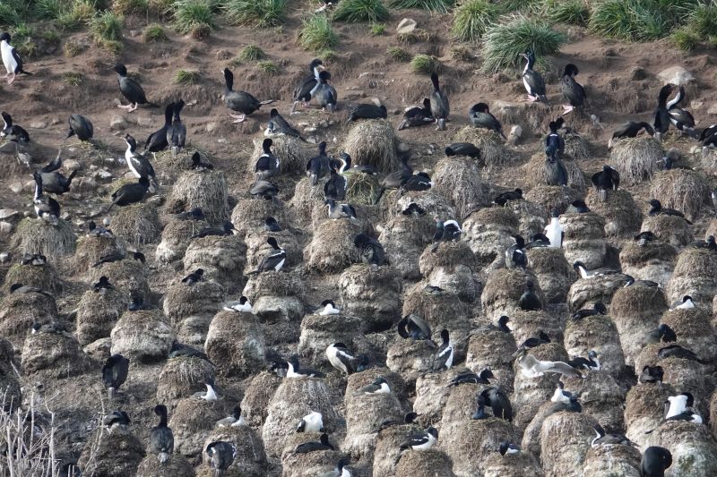 Viewing photos→2018→2018-08-25→50