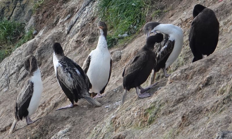 Viewing photos→2018→2018-08-25→51