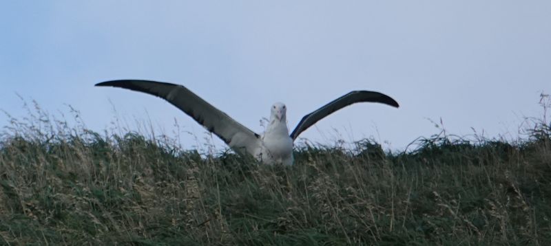 Viewing photos→2018→2018-08-25→53