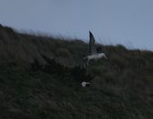 55.jpeg - 2018:08:25 02:42:40