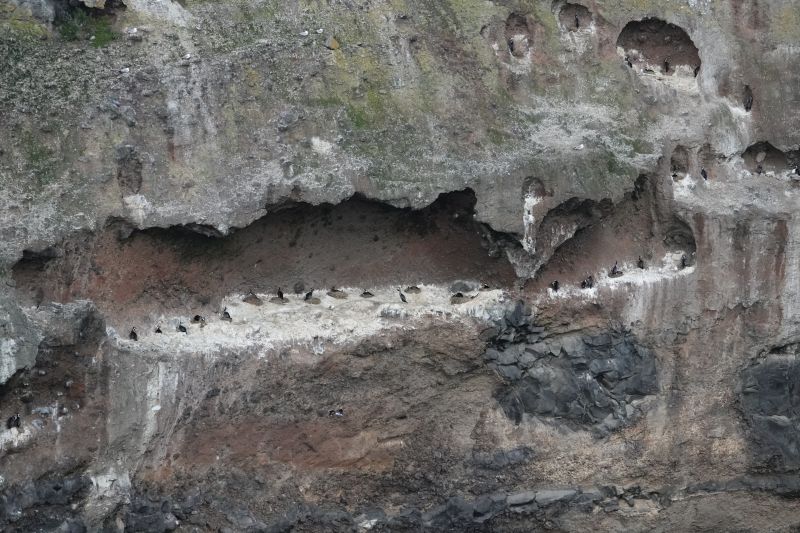 Viewing photos→2018→2018-08-25→56