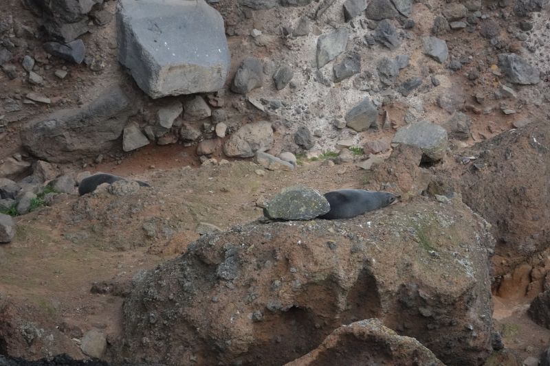 Viewing photos→2018→2018-08-25→60