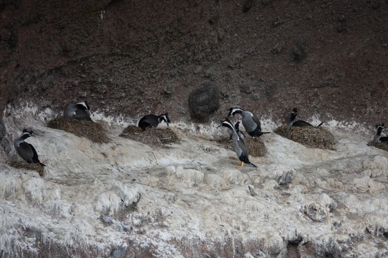 Viewing photos→2018→2018-08-25→61