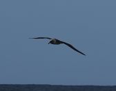 67.jpeg - 2018:08:25 02:51:32