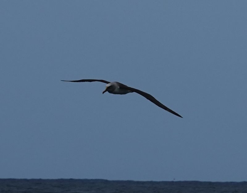 Viewing photos→2018→2018-08-25→67