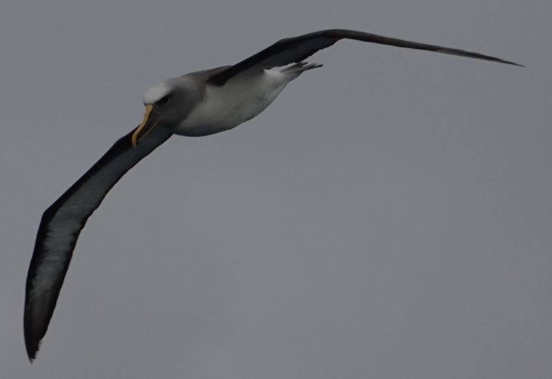 Viewing photos→2018→2018-08-25→68