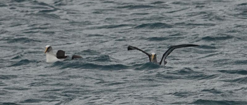 Viewing photos→2018→2018-08-25→70