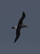 74.jpeg - 2018:08:25 02:58:20