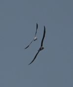 75.jpeg - 2018:08:25 03:00:21