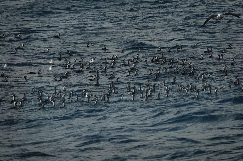 Viewing photos→2018→2018-08-25→77